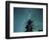 Washington State, Alpine Lakes Wilderness, Ingalls Pass, Milky Way and trees-Jamie & Judy Wild-Framed Photographic Print