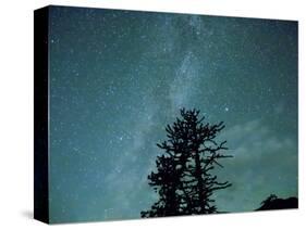 Washington State, Alpine Lakes Wilderness, Ingalls Pass, Milky Way and trees-Jamie & Judy Wild-Stretched Canvas
