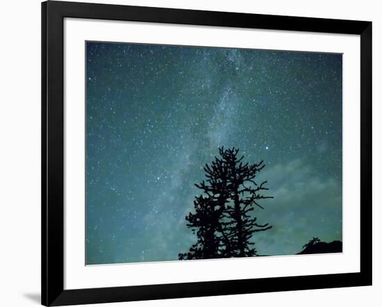 Washington State, Alpine Lakes Wilderness, Ingalls Pass, Milky Way and trees-Jamie & Judy Wild-Framed Photographic Print