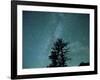 Washington State, Alpine Lakes Wilderness, Ingalls Pass, Milky Way and trees-Jamie & Judy Wild-Framed Photographic Print