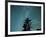 Washington State, Alpine Lakes Wilderness, Ingalls Pass, Milky Way and trees-Jamie & Judy Wild-Framed Photographic Print