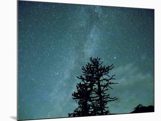 Washington State, Alpine Lakes Wilderness, Ingalls Pass, Milky Way and trees-Jamie & Judy Wild-Mounted Photographic Print