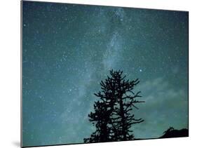 Washington State, Alpine Lakes Wilderness, Ingalls Pass, Milky Way and trees-Jamie & Judy Wild-Mounted Photographic Print