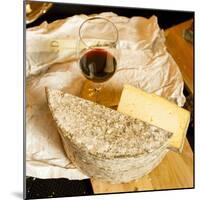 Washington State, Art and Artisanal Cheese Event at Forgeron Cellars Tasting Room-Richard Duval-Mounted Photographic Print