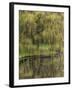 Washington State, Bainbridge Island. Weeping Willow and Pond-Jaynes Gallery-Framed Photographic Print