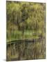 Washington State, Bainbridge Island. Weeping Willow and Pond-Jaynes Gallery-Mounted Photographic Print