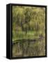 Washington State, Bainbridge Island. Weeping Willow and Pond-Jaynes Gallery-Framed Stretched Canvas