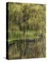 Washington State, Bainbridge Island. Weeping Willow and Pond-Jaynes Gallery-Stretched Canvas