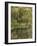 Washington State, Bainbridge Island. Weeping Willow and Pond-Jaynes Gallery-Framed Photographic Print