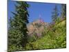 Washington State, Central Cascades, Fireweed and Red Mountain-Jamie & Judy Wild-Mounted Photographic Print