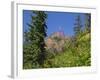 Washington State, Central Cascades, Fireweed and Red Mountain-Jamie & Judy Wild-Framed Photographic Print