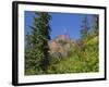 Washington State, Central Cascades, Fireweed and Red Mountain-Jamie & Judy Wild-Framed Photographic Print