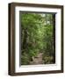 Washington State, Central Cascades, Granite Mountain trail-Jamie & Judy Wild-Framed Photographic Print