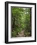 Washington State, Central Cascades, Granite Mountain trail-Jamie & Judy Wild-Framed Photographic Print