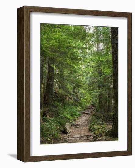 Washington State, Central Cascades, Granite Mountain trail-Jamie & Judy Wild-Framed Photographic Print