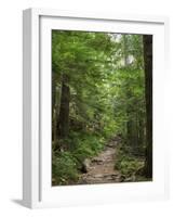 Washington State, Central Cascades, Granite Mountain trail-Jamie & Judy Wild-Framed Photographic Print