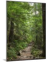 Washington State, Central Cascades, Granite Mountain trail-Jamie & Judy Wild-Mounted Photographic Print