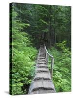 Washington State, Central Cascades, Old Fir tree bridge, on trail to Annette Lake-Jamie & Judy Wild-Stretched Canvas