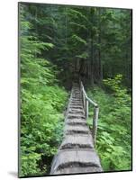 Washington State, Central Cascades, Old Fir tree bridge, on trail to Annette Lake-Jamie & Judy Wild-Mounted Photographic Print