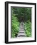 Washington State, Central Cascades, Old Fir tree bridge, on trail to Annette Lake-Jamie & Judy Wild-Framed Photographic Print