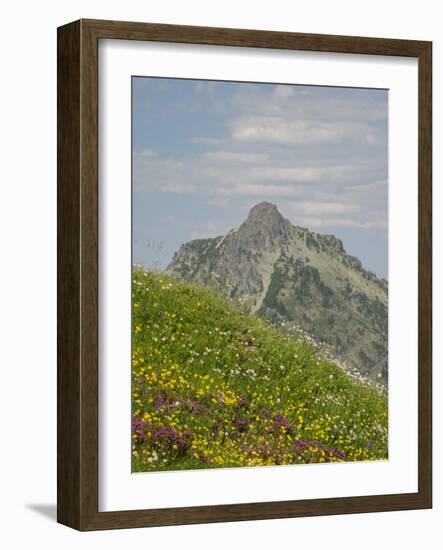 Washington State, Central Cascades, Rampart Ridge, Alta Mountain and wildflowers-Jamie & Judy Wild-Framed Photographic Print