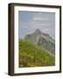 Washington State, Central Cascades, Rampart Ridge, Alta Mountain and wildflowers-Jamie & Judy Wild-Framed Photographic Print