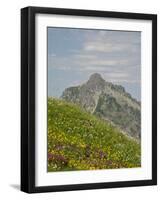 Washington State, Central Cascades, Rampart Ridge, Alta Mountain and wildflowers-Jamie & Judy Wild-Framed Photographic Print