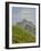 Washington State, Central Cascades, Rampart Ridge, Alta Mountain and wildflowers-Jamie & Judy Wild-Framed Photographic Print