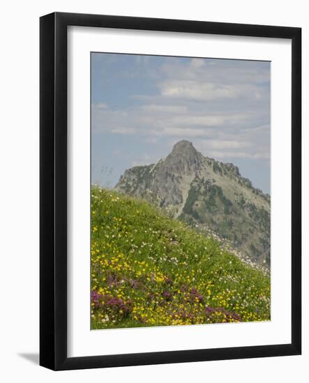 Washington State, Central Cascades, Rampart Ridge, Alta Mountain and wildflowers-Jamie & Judy Wild-Framed Photographic Print