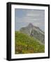 Washington State, Central Cascades, Rampart Ridge, Alta Mountain and wildflowers-Jamie & Judy Wild-Framed Photographic Print