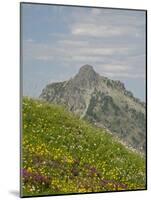 Washington State, Central Cascades, Rampart Ridge, Alta Mountain and wildflowers-Jamie & Judy Wild-Mounted Photographic Print