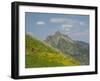 Washington State, Central Cascades, Rampart Ridge, Alta Mountain and wildflowers-Jamie & Judy Wild-Framed Photographic Print