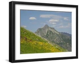 Washington State, Central Cascades, Rampart Ridge, Alta Mountain and wildflowers-Jamie & Judy Wild-Framed Photographic Print