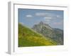 Washington State, Central Cascades, Rampart Ridge, Alta Mountain and wildflowers-Jamie & Judy Wild-Framed Photographic Print