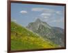 Washington State, Central Cascades, Rampart Ridge, Alta Mountain and wildflowers-Jamie & Judy Wild-Framed Photographic Print