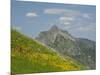 Washington State, Central Cascades, Rampart Ridge, Alta Mountain and wildflowers-Jamie & Judy Wild-Mounted Photographic Print