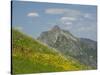 Washington State, Central Cascades, Rampart Ridge, Alta Mountain and wildflowers-Jamie & Judy Wild-Stretched Canvas