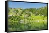 Washington State, Central Cascades, Rampart Ridge, Lake Lillian-Jamie & Judy Wild-Framed Stretched Canvas