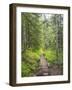 Washington State, Central Cascades, Trail to Pratt Ridge-Jamie & Judy Wild-Framed Photographic Print