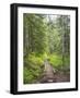 Washington State, Central Cascades, Trail to Pratt Ridge-Jamie & Judy Wild-Framed Photographic Print