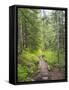 Washington State, Central Cascades, Trail to Pratt Ridge-Jamie & Judy Wild-Framed Stretched Canvas