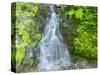 Washington State, Central Cascades, Waterfall, on trail to Annette Lake-Jamie & Judy Wild-Stretched Canvas