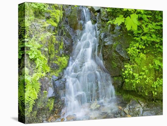 Washington State, Central Cascades, Waterfall, on trail to Annette Lake-Jamie & Judy Wild-Stretched Canvas