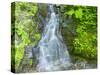 Washington State, Central Cascades, Waterfall, on trail to Annette Lake-Jamie & Judy Wild-Stretched Canvas