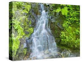 Washington State, Central Cascades, Waterfall, on trail to Annette Lake-Jamie & Judy Wild-Stretched Canvas