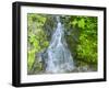 Washington State, Central Cascades, Waterfall, on trail to Annette Lake-Jamie & Judy Wild-Framed Photographic Print