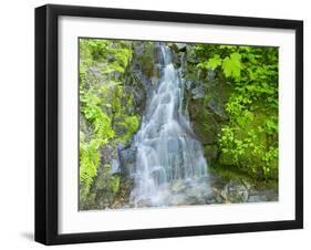 Washington State, Central Cascades, Waterfall, on trail to Annette Lake-Jamie & Judy Wild-Framed Photographic Print
