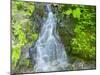 Washington State, Central Cascades, Waterfall, on trail to Annette Lake-Jamie & Judy Wild-Mounted Photographic Print