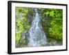 Washington State, Central Cascades, Waterfall, on trail to Annette Lake-Jamie & Judy Wild-Framed Photographic Print