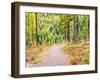 Washington State, Colville County. Trail in the Tamarack forest along highway 20 in Sherman Pass.-Julie Eggers-Framed Photographic Print